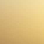 外国人同士で会うと必ずビザの話をする話